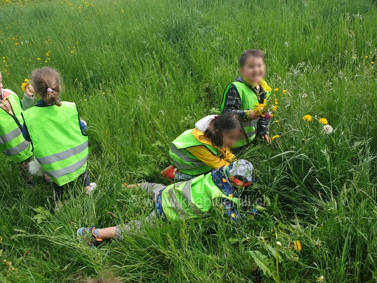 rasen gras und sonne ein tag im freien kinderbetreuung kinderkrippe und waldkinderkrippe blueemli in zuerich witikon