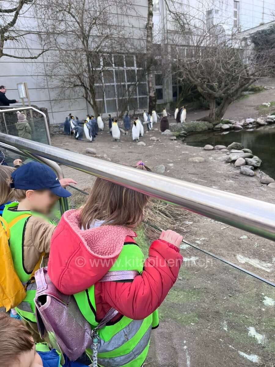 zoo zuerich ausflug kinderbetreuung kinderkrippe und waldkinderkrippe blueemli in zuerich witikon