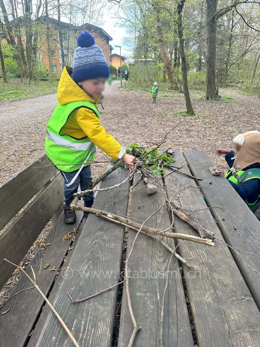 sammeln von waldmaterialien kinderbetreuung kinderkrippe und waldkinderkrippe blueemli in zuerich witikon