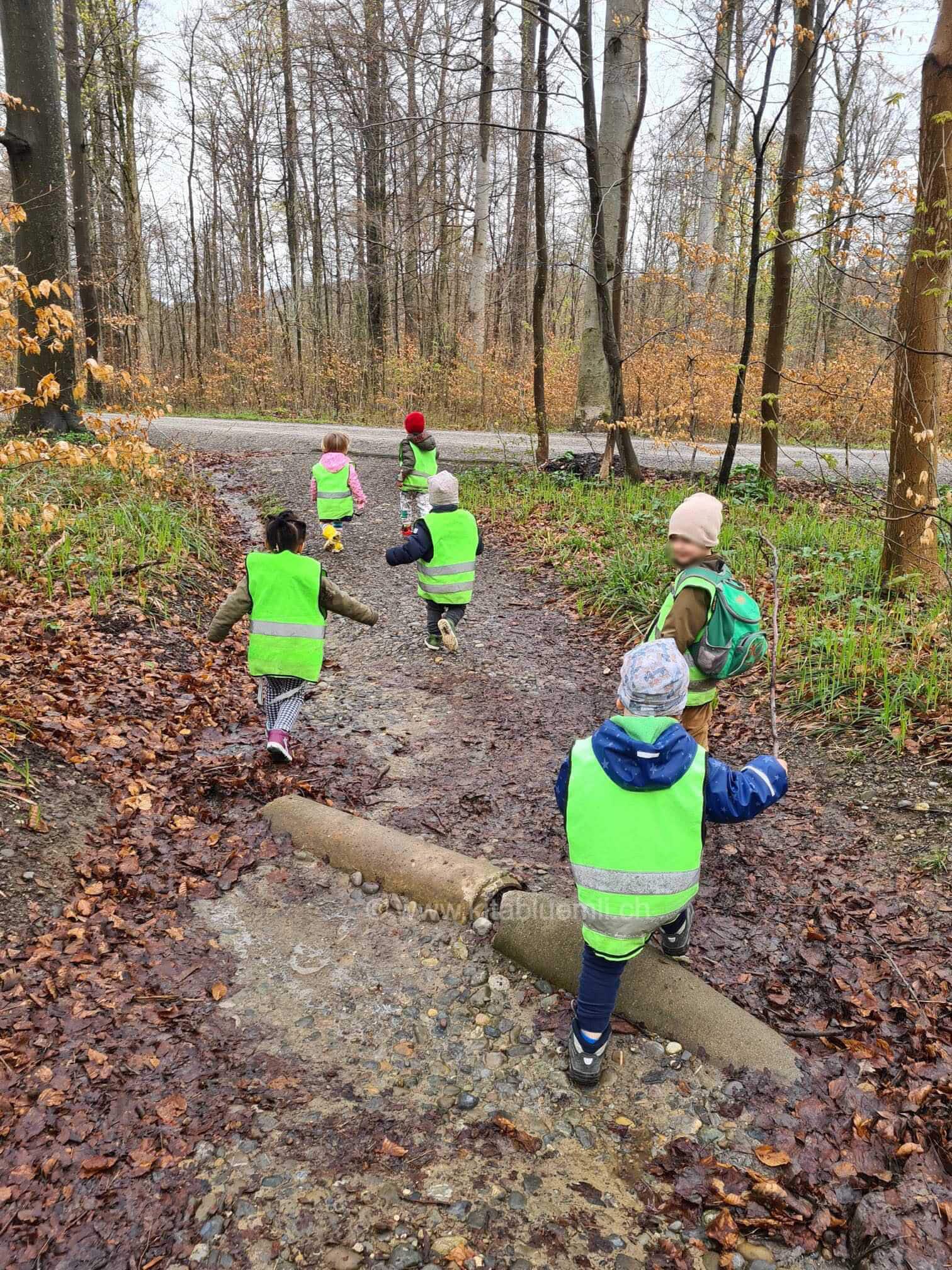 waldtag kinderbetreuung kinderkrippe und waldkinderkrippe blueemli in zuerich witikon