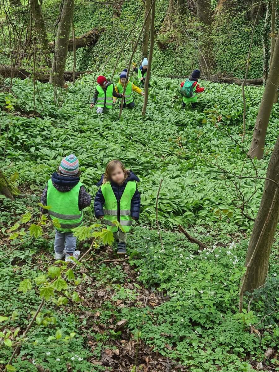 gruen kinderbetreuung kinderkrippe und waldkinderkrippe blueemli in zuerich witikon