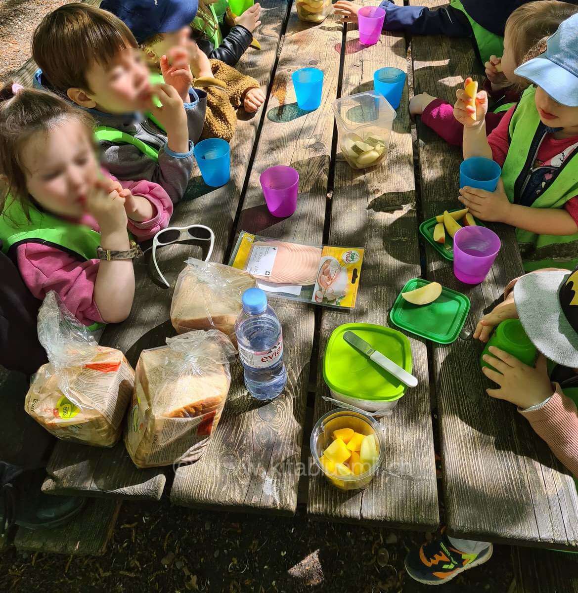 zvieri im wald kinderbetreuung kinderkrippe und waldkinderkrippe blueemli in zuerich witikon