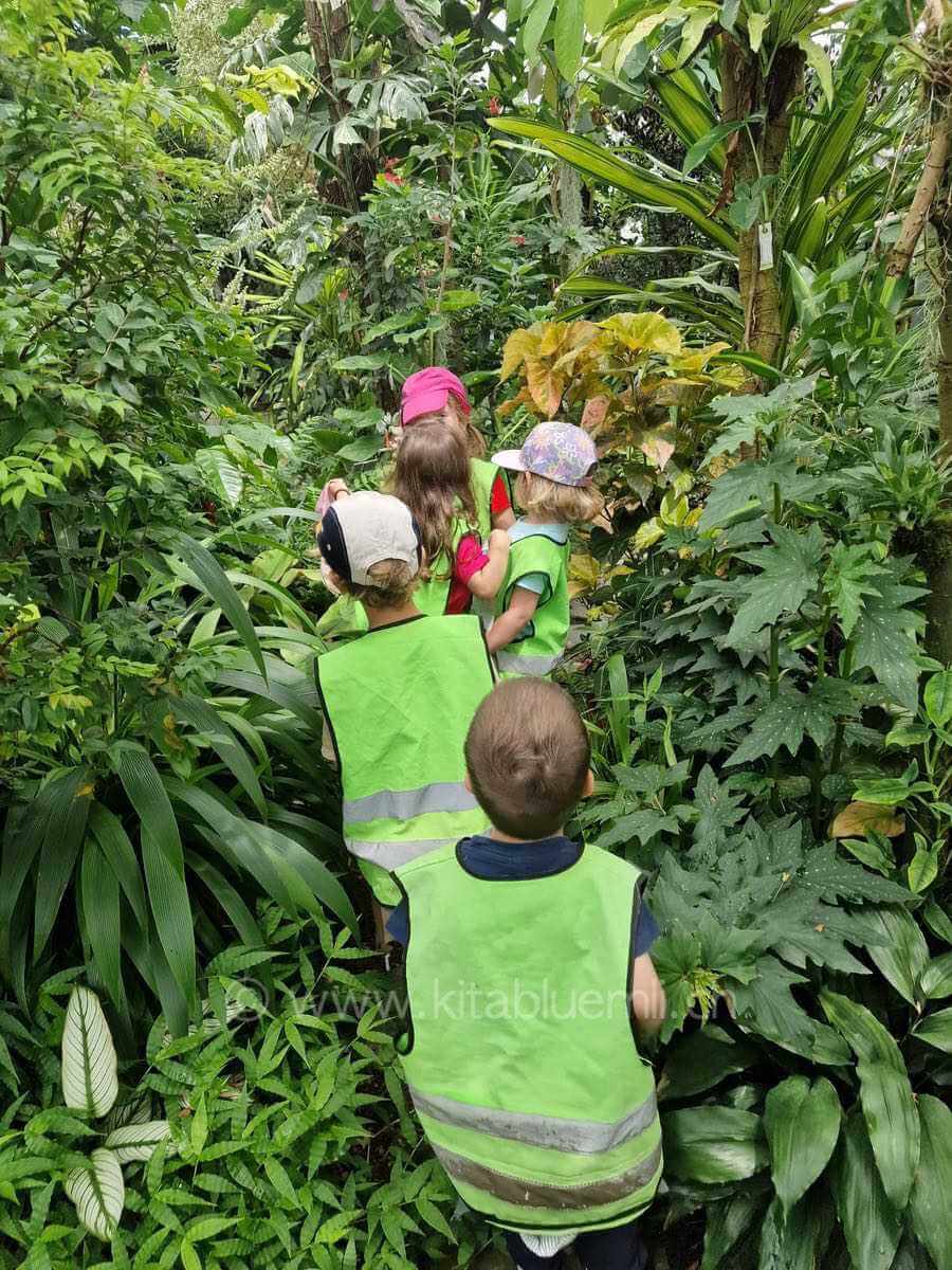 ausflug im botanischer garten kinderbetreuung kinderkrippe und waldkinderkrippe blueemli in zuerich witikon