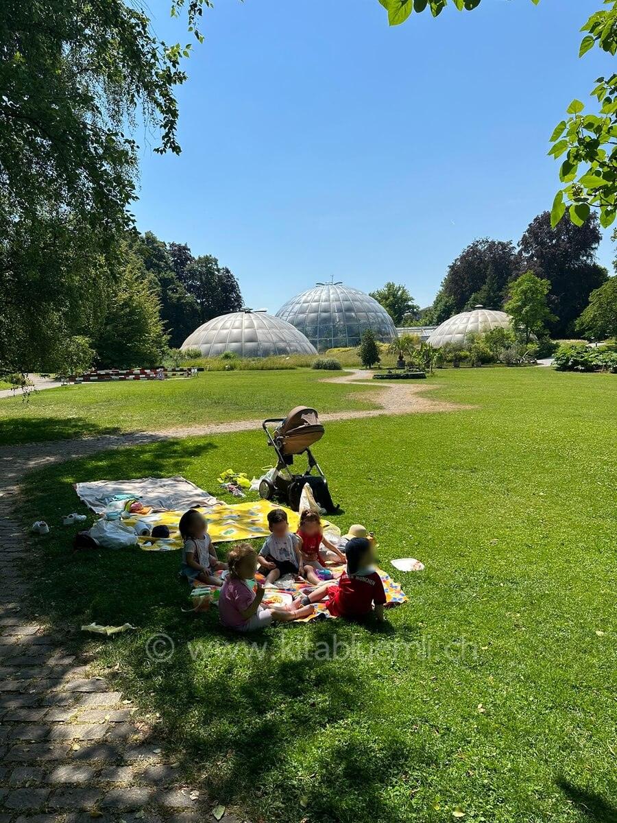 besuch im botanischer garten kinderbetreuung kinderkrippe und waldkinderkrippe blueemli in zuerich witikon