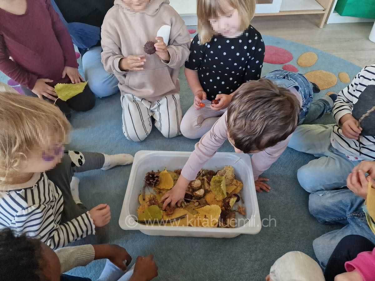 herbstsachen ertasten kinderbetreuung kinderkrippe und waldkinderkrippe blueemli in zuerich witikon