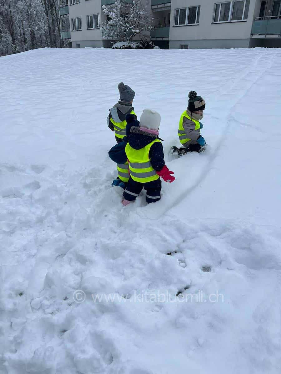 schneespass kinderbetreuung kinderkrippe und waldkinderkrippe blueemli in zuerich witikon