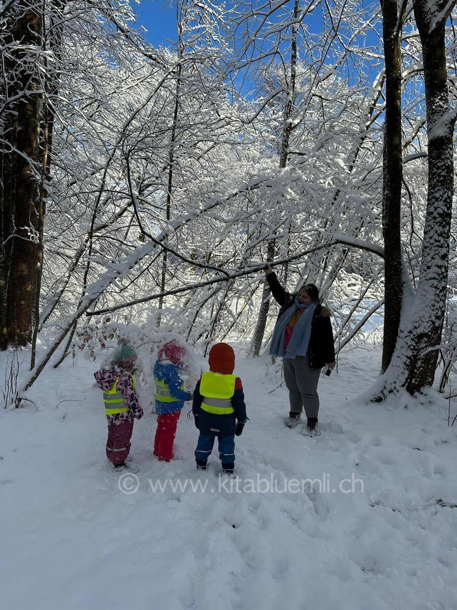 schneespass im wald kinderbetreuung kinderkrippe und waldkinderkrippe blueemli in zuerich witikon