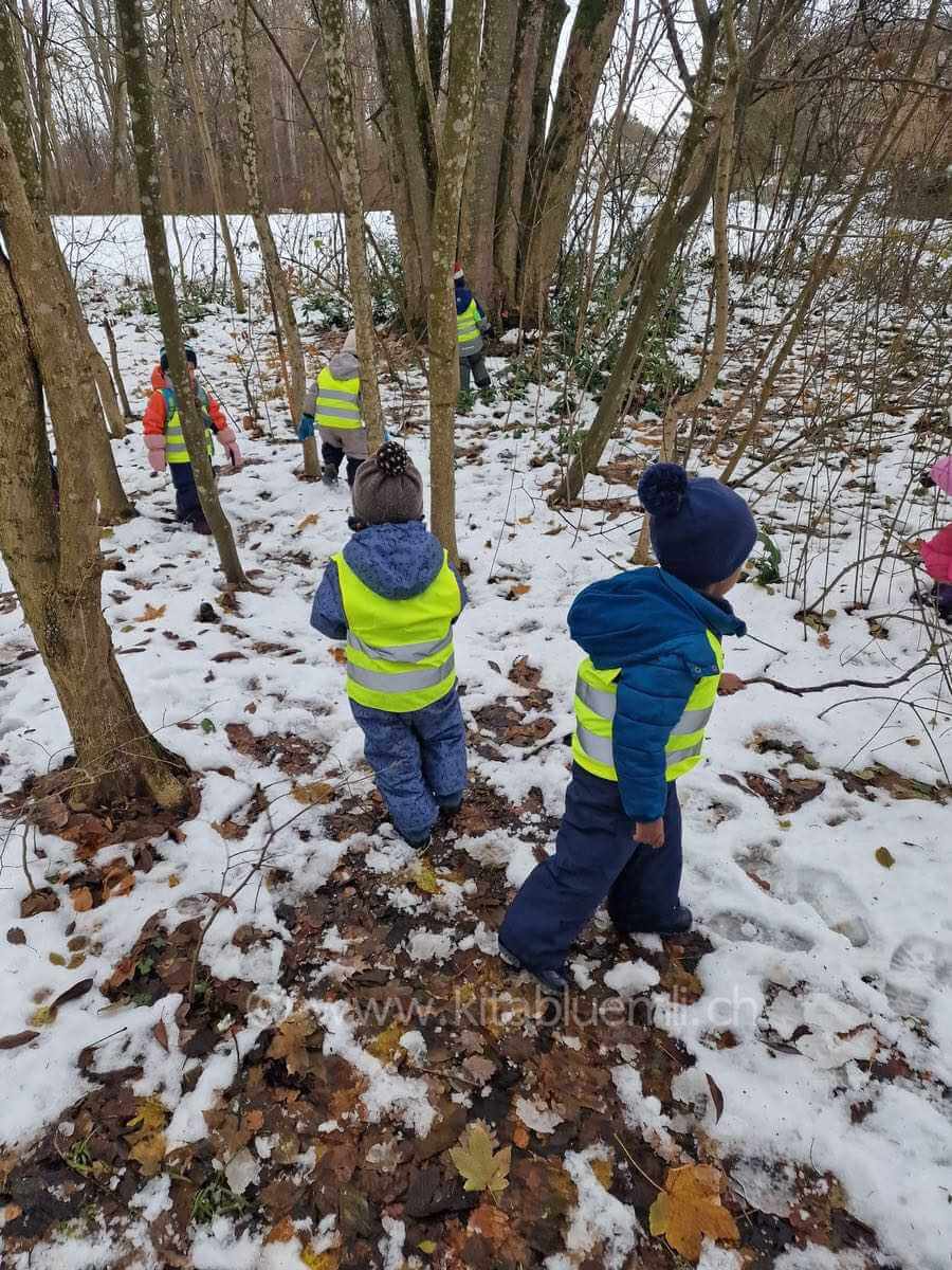 waldtag im schnee kinderbetreuung kinderkrippe und waldkinderkrippe blueemli in zuerich witikon