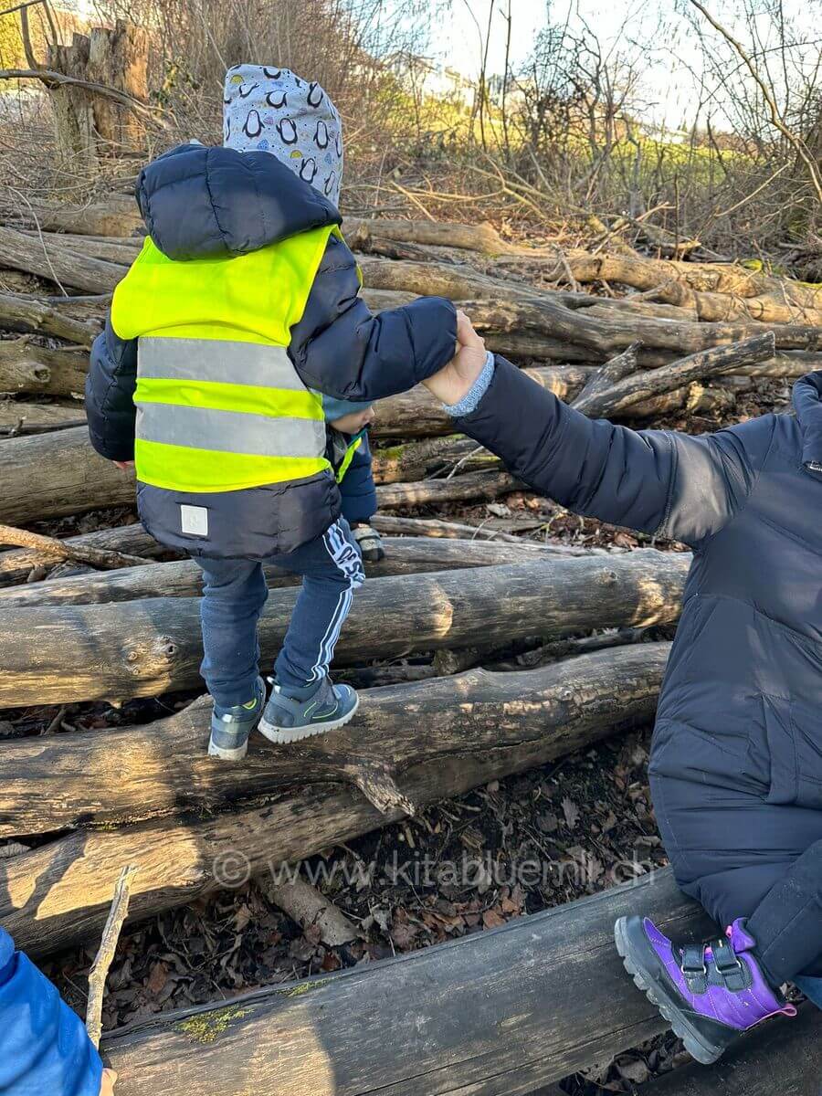 balancieren auf baumstaemmen kinderbetreuung kinderkrippe und waldkinderkrippe blueemli in zuerich witikon