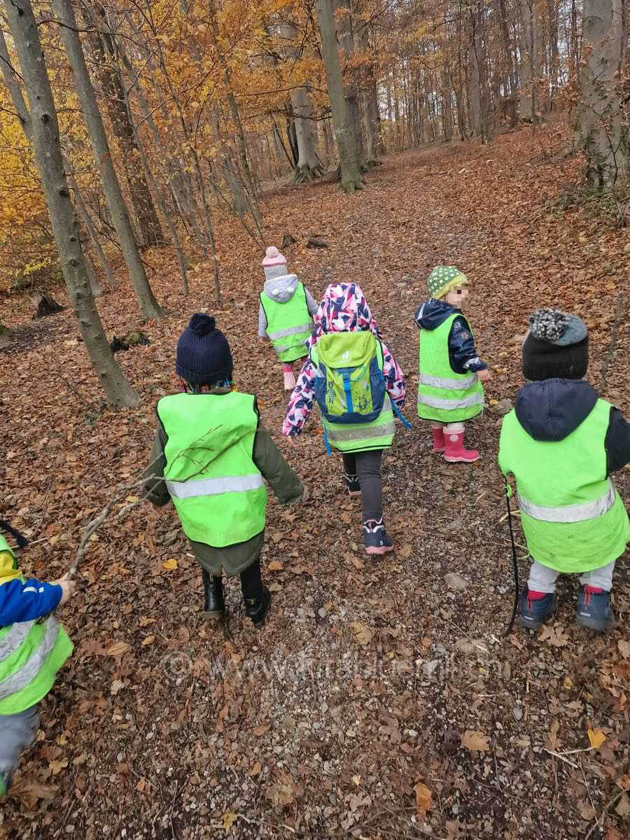 draussen im wald kinderbetreuung kinderkrippe und waldkinderkrippe blueemli in zuerich witikon