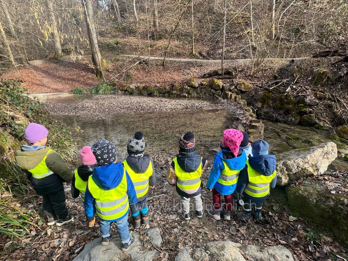 faszination am flussufer kinderbetreuung kinderkrippe und waldkinderkrippe blueemli in zuerich witikon