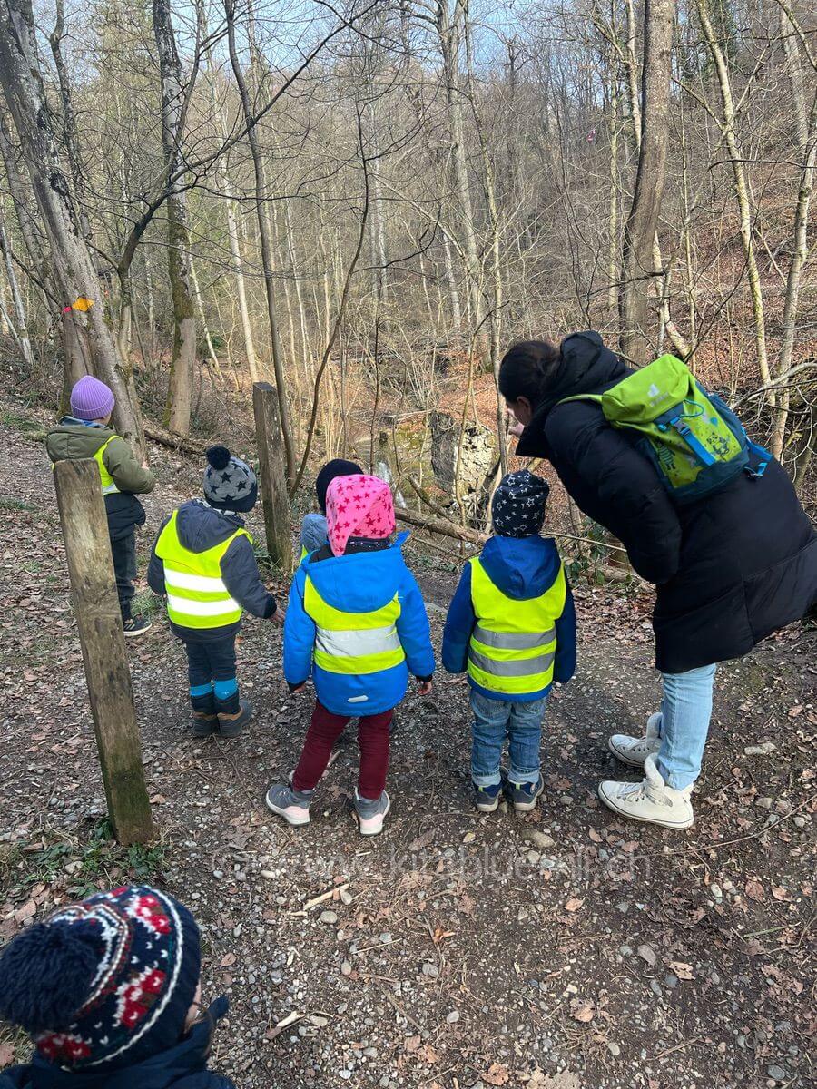 wissensreise im wald kinderbetreuung kinderkrippe und waldkinderkrippe blueemli in zuerich witikon