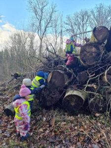 Kletteraktion im Wald - Kinderbetreuung - Kinderkrippe und Waldkinderkrippe Blüemli in Zürich Witikon 13.11.00