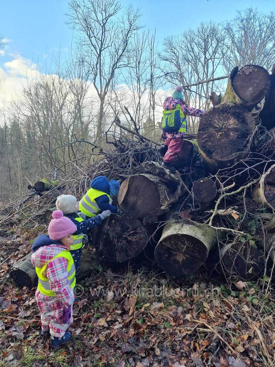 kletteraktion im wald kinderbetreuung kinderkrippe und waldkinderkrippe blueemli in zuerich witikon 13.11.00