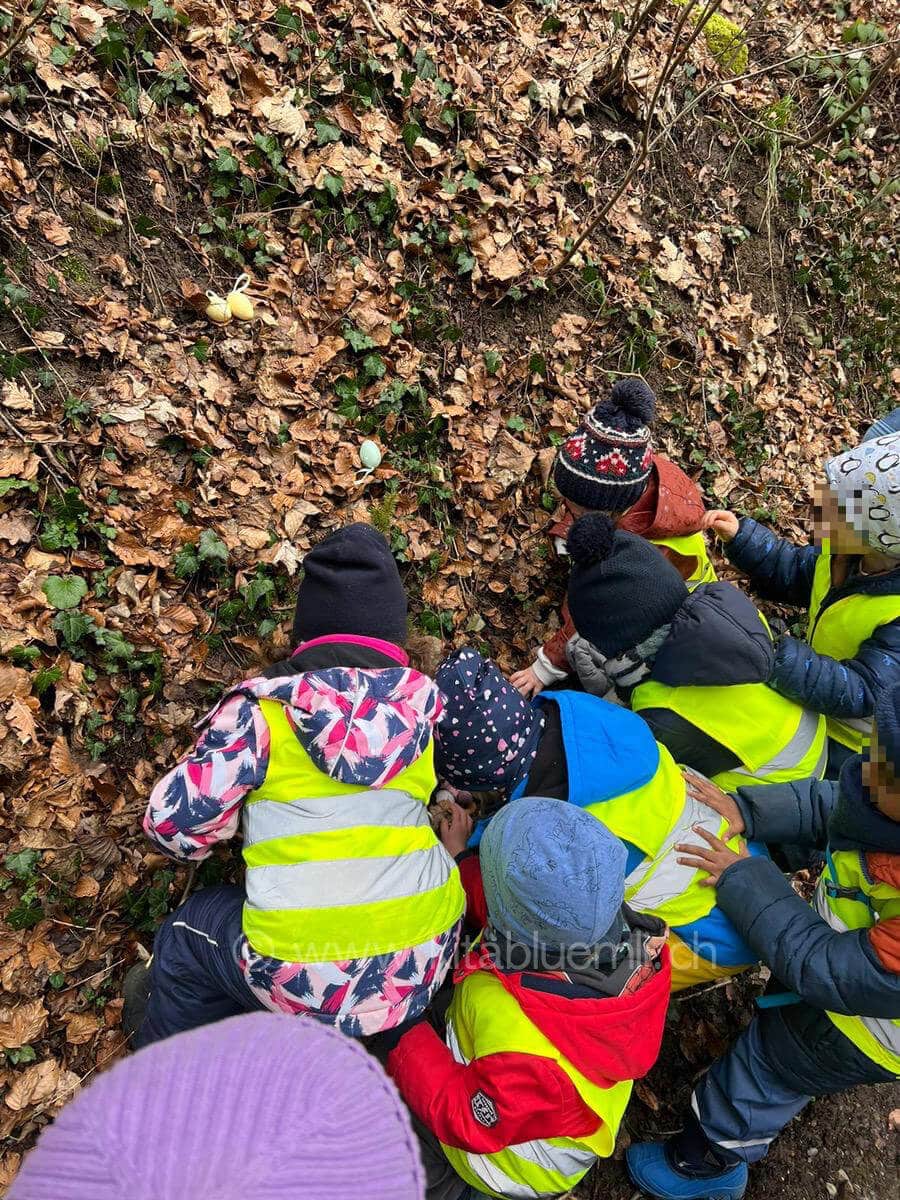 entdeckung im wald kinderbetreuung kinderkrippe und waldkinderkrippe blueemli in zuerich witikon