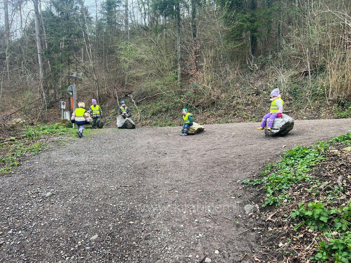 spannende wartezeit im wald kinderbetreuung kinderkrippe und waldkinderkrippe blueemli in zuerich witikon