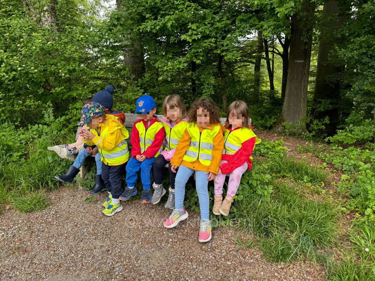 auf die gspaenli warten kinderbetreuung kinderkrippe und waldkinderkrippe blueemli in zuerich witikon