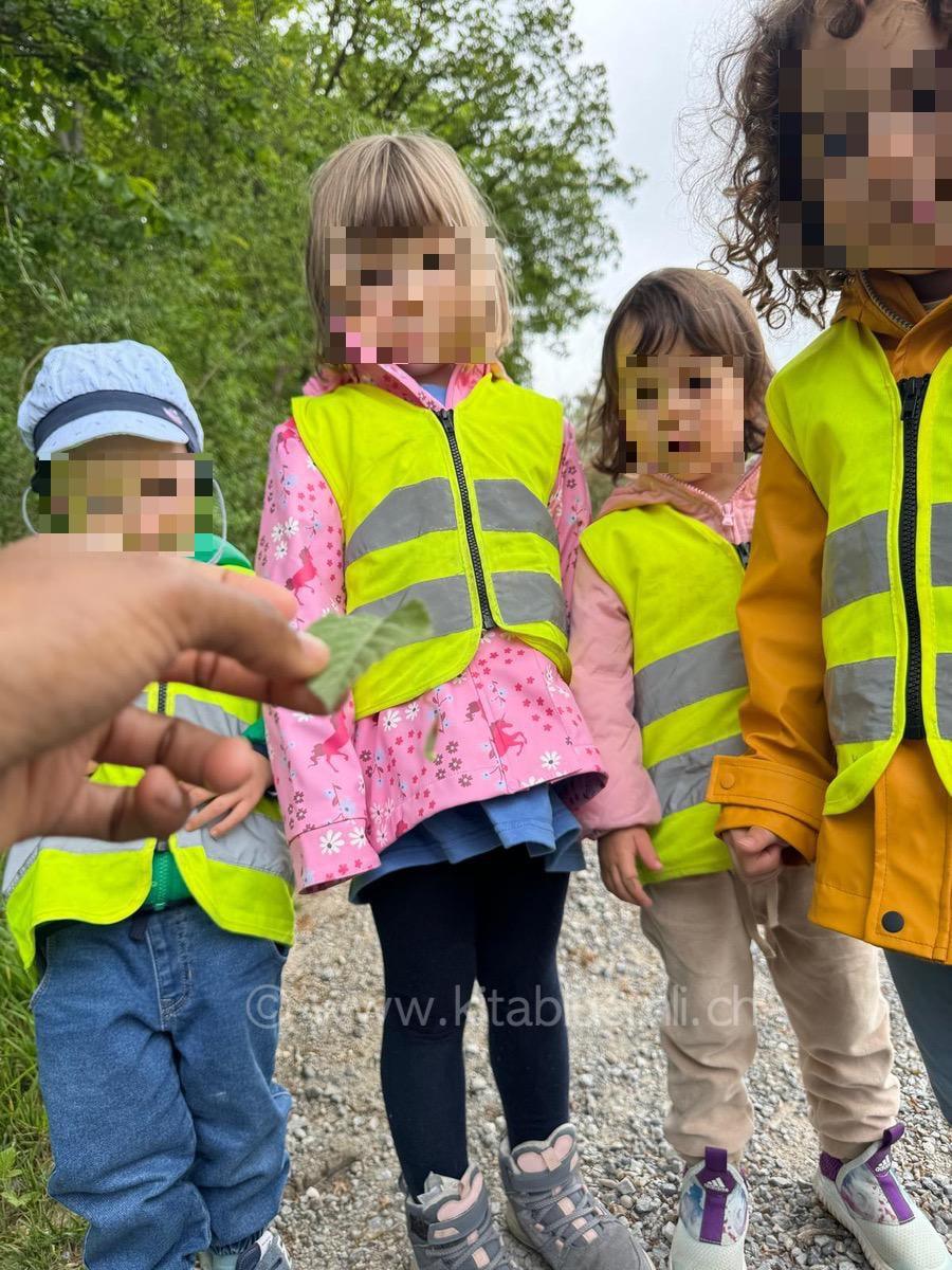 blaetter beobachten kinderbetreuung kinderkrippe und waldkinderkrippe blueemli in zuerich witikon