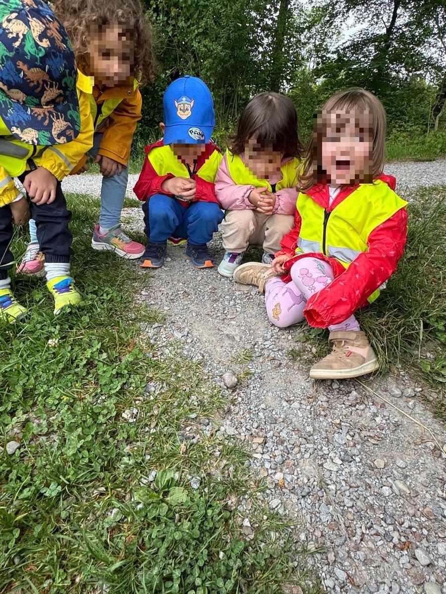 kleine lebewesen beobachten kinderbetreuung kinderkrippe und waldkinderkrippe blueemli in zuerich witikon