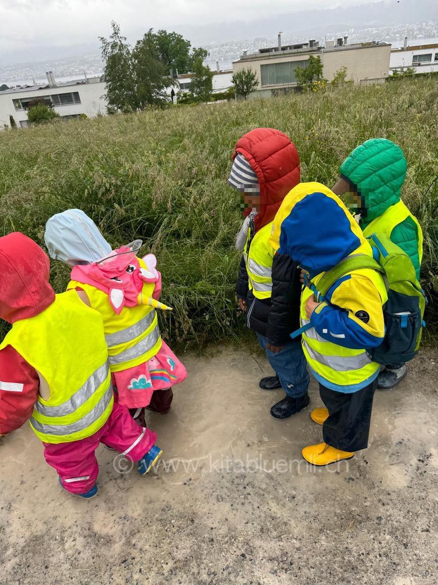 wasserspass kinderbetreuung kinderkrippe und waldkinderkrippe blueemli in zuerich witikon