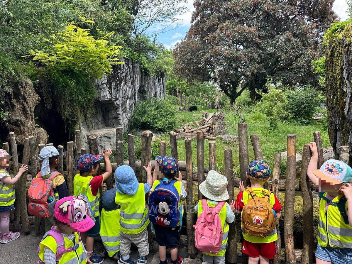 ausflug in den zoo kinderbetreuung kinderkrippe und waldkinderkrippe blueemli in zuerich witikon