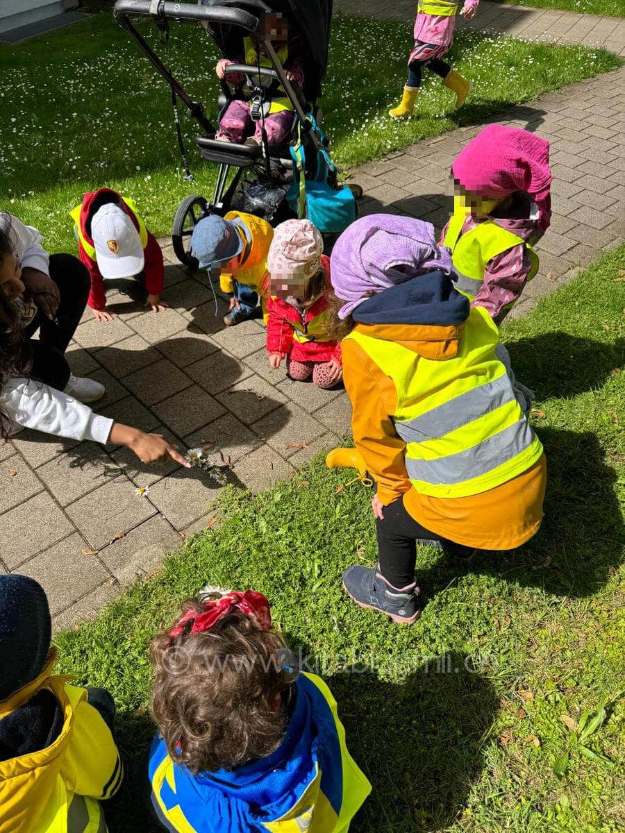 entdeckung verschiedener blumen kinderbetreuung kinderkrippe und waldkinderkrippe blueemli in zuerich witikon 1