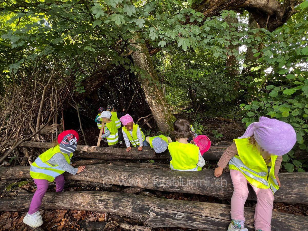 kletterspass im wald kinderbetreuung kinderkrippe und waldkinderkrippe blueemli in zuerich witikon