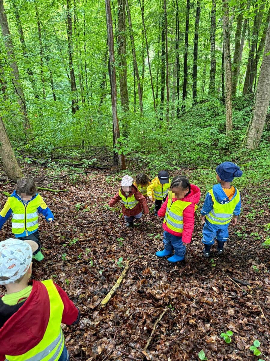 tief im wald kinderbetreuung kinderkrippe und waldkinderkrippe blueemli in zuerich witikon