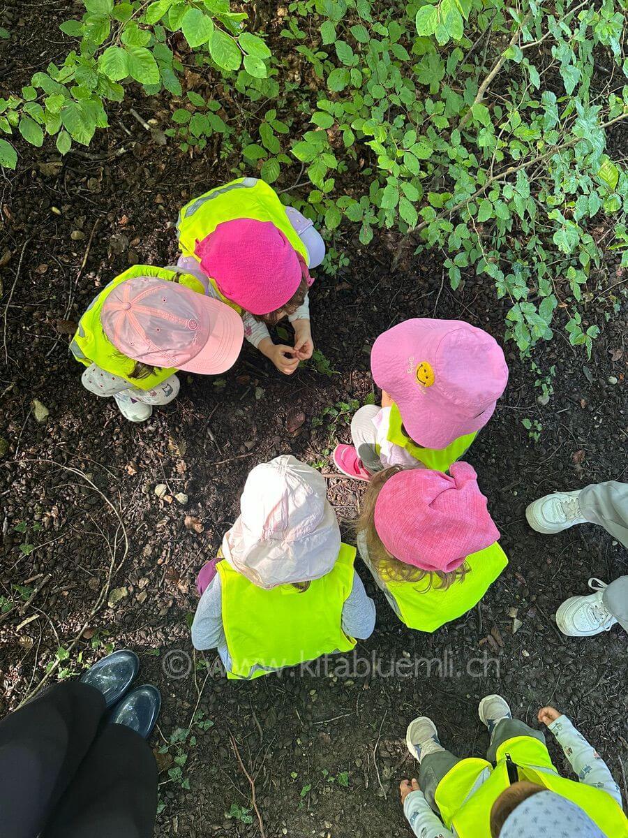 bodenwelt erkunden kinderbetreuung kinderkrippe und waldkinderkrippe blueemli in zuerich witikon