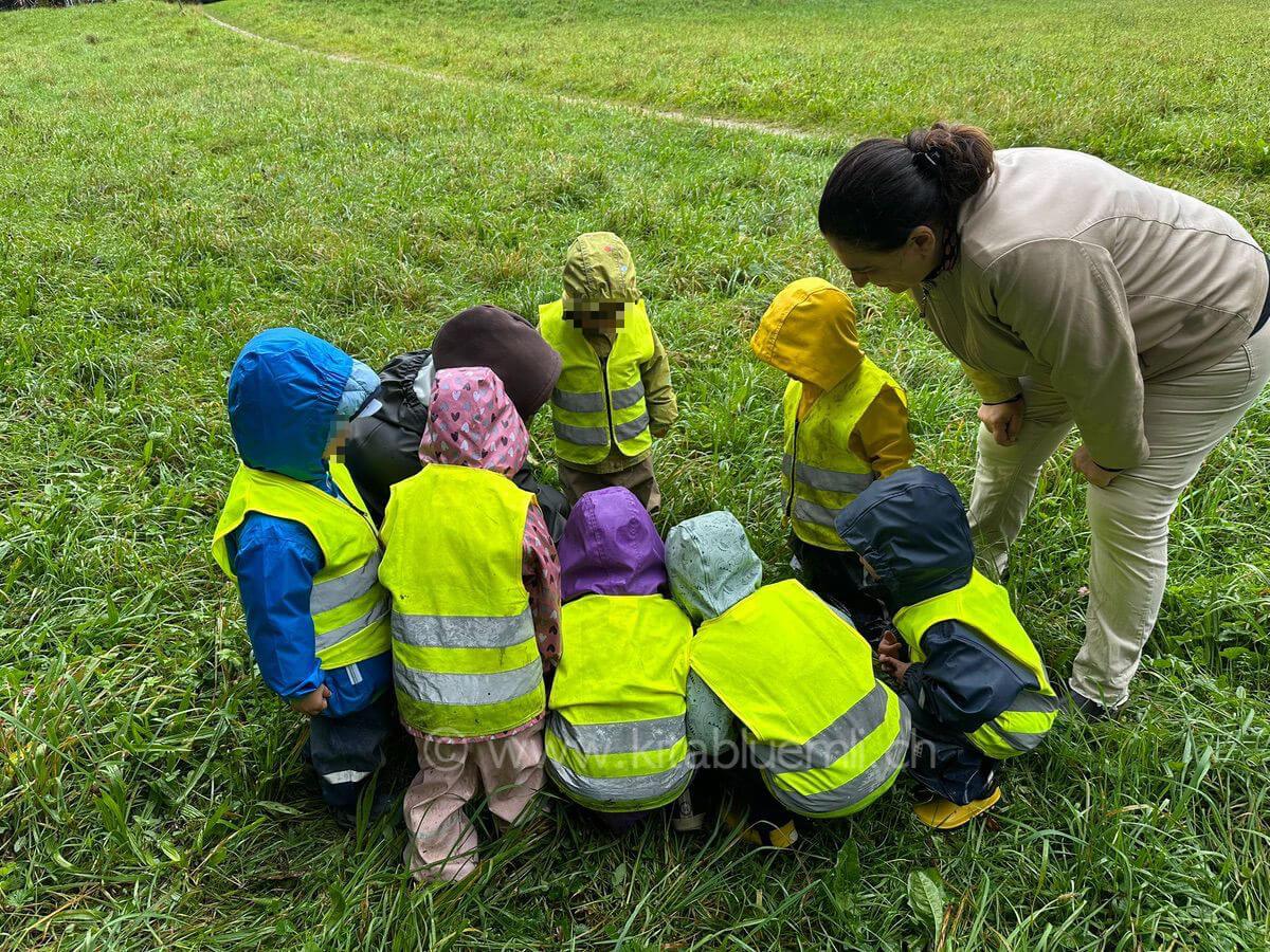 heuguemper beobachten kinderbetreuung kinderkrippe und waldkinderkrippe blueemli in zuerich witikon