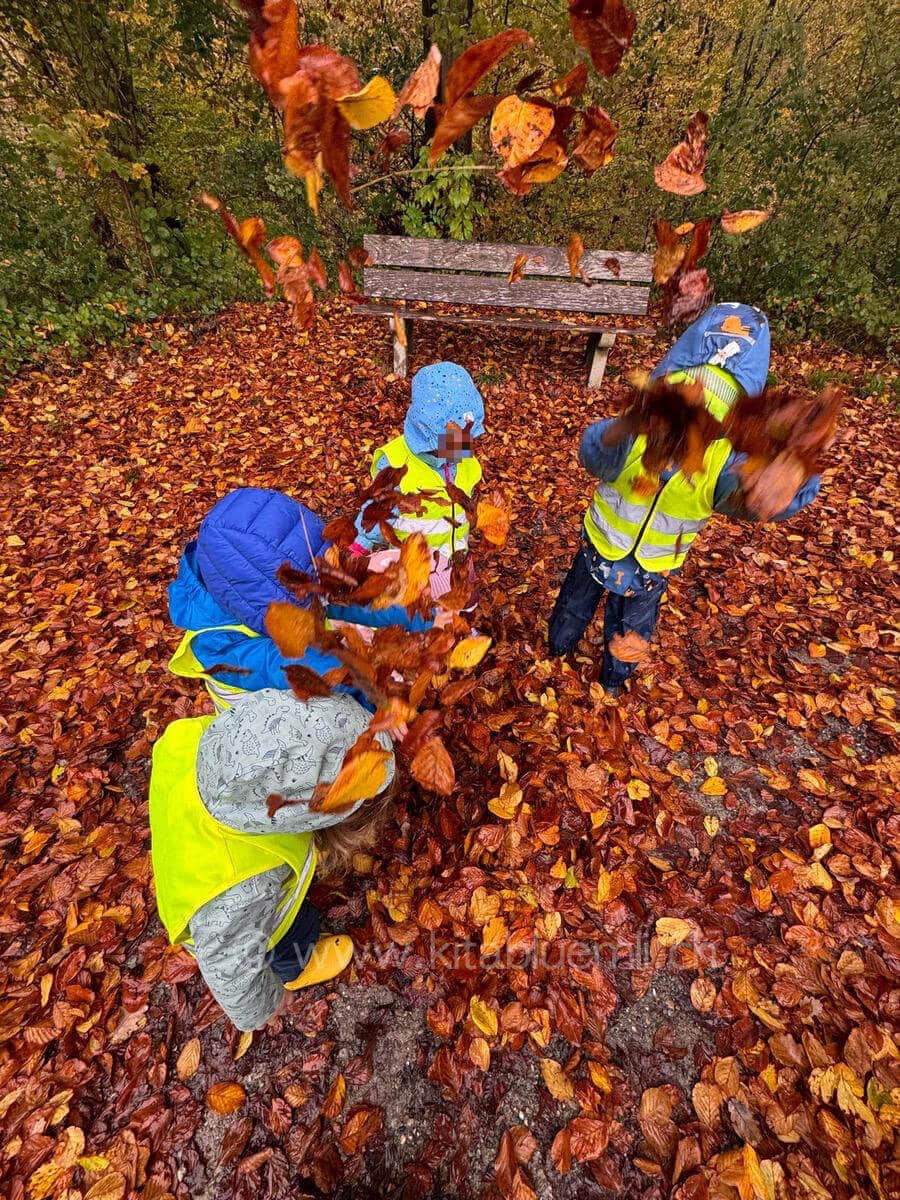 blaetterwerfen kinderbetreuung kinderkrippe und waldkinderkrippe blueemli in zuerich witikon 1