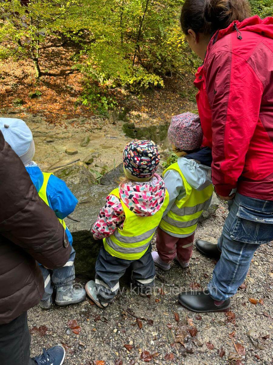 den bach beobachten kinderbetreuung kinderkrippe und waldkinderkrippe blueemli in zuerich witikon