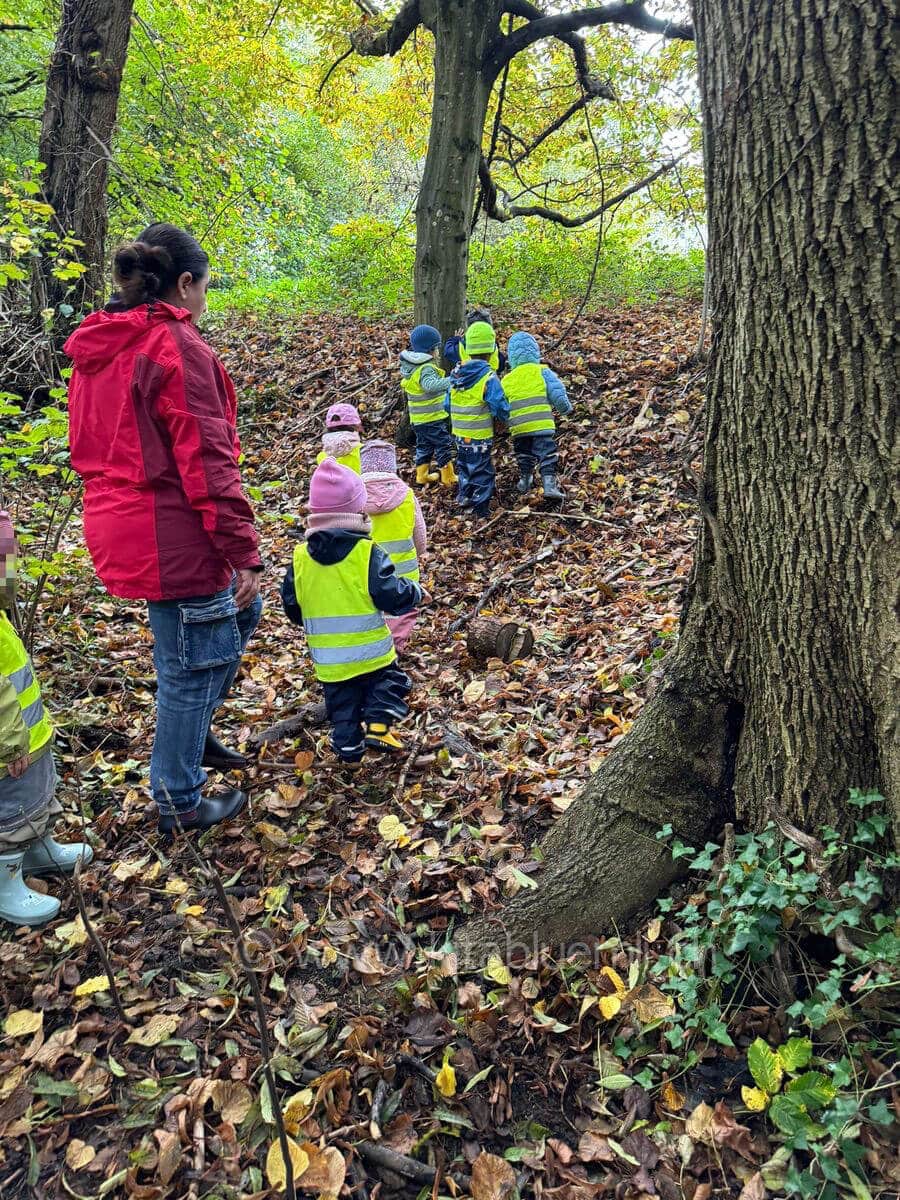 kinder erkunden den wald selbststaendig kinderbetreuung kinderkrippe und waldkinderkrippe blueemli in zuerich witikon