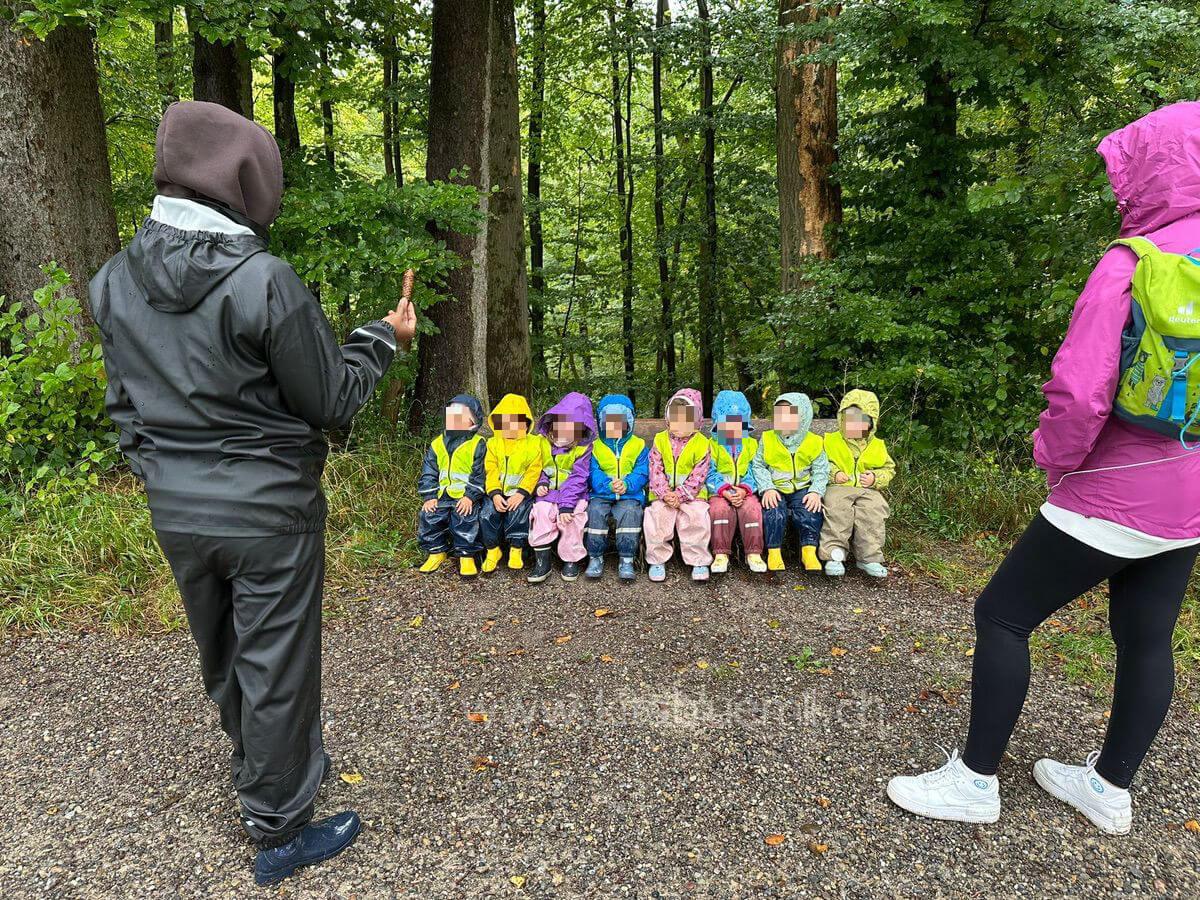 tannenzapfen suchen kinderbetreuung kinderkrippe und waldkinderkrippe blueemli in zuerich witikon