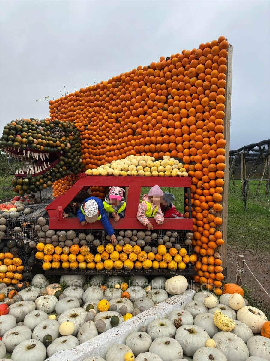 ausflug zur juckerfarm kinderbetreuung kinderkrippe und waldkinderkrippe blueemli in zuerich witikon