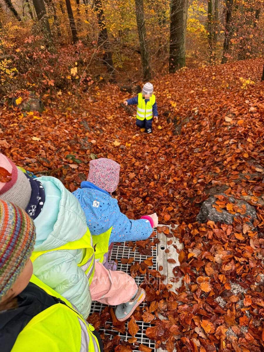 blaetterbad kinderbetreuung kinderkrippe und waldkinderkrippe blueemli in zuerich witikon