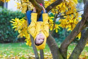 Blüemli Forest Daycare Zurich Witikon – Child climbing a tree in the forest