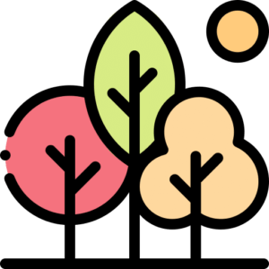 Waldgruppe Blüemli – Zürich Witikon