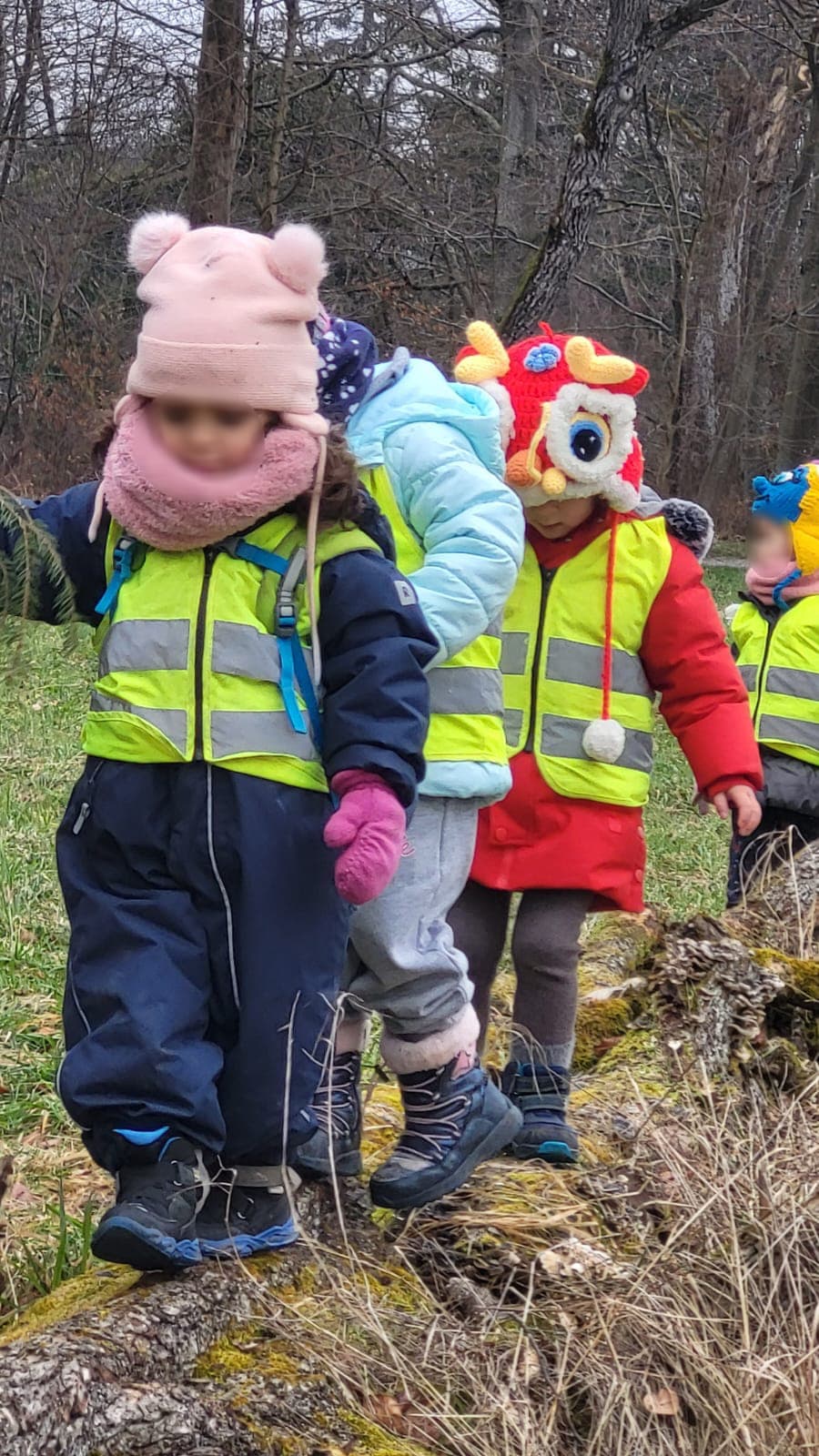 Waldpädagogik für Kinder 7 Vorteile