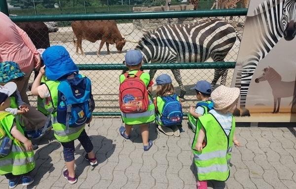 Kinderzoo Rapperswil