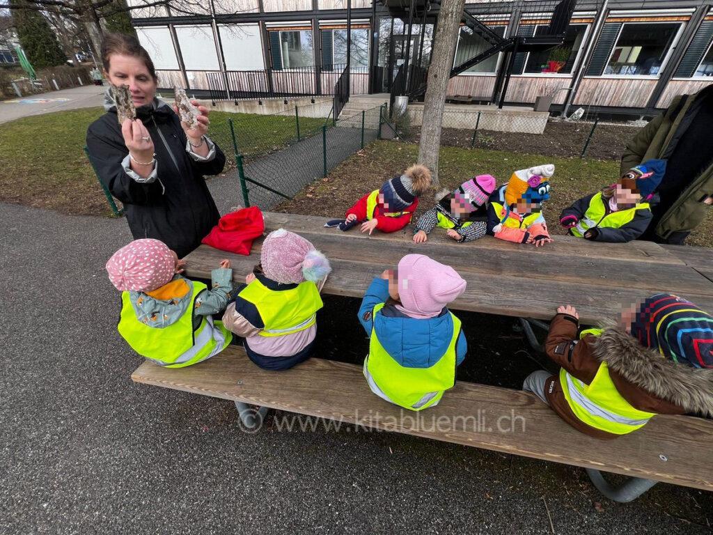 Verschiedenes Holz kennenlernen