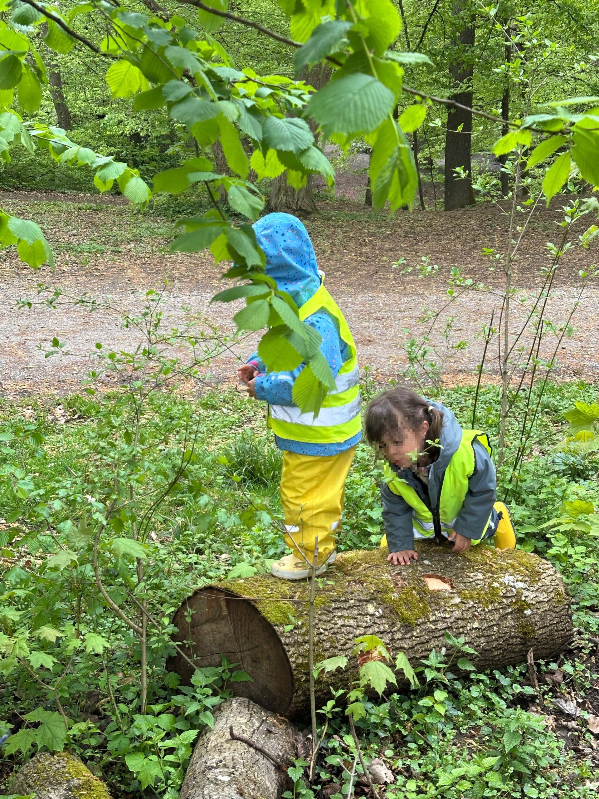 Bewegung in der Natur – wenn jedes Hindernis ein Abenteuer wird