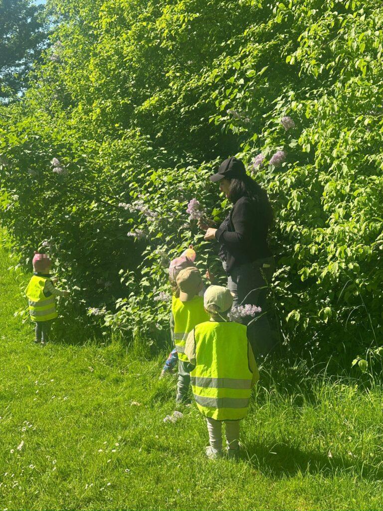 Blumen entdecken in der Natur – kleine Forscher ganz gross unterwegs