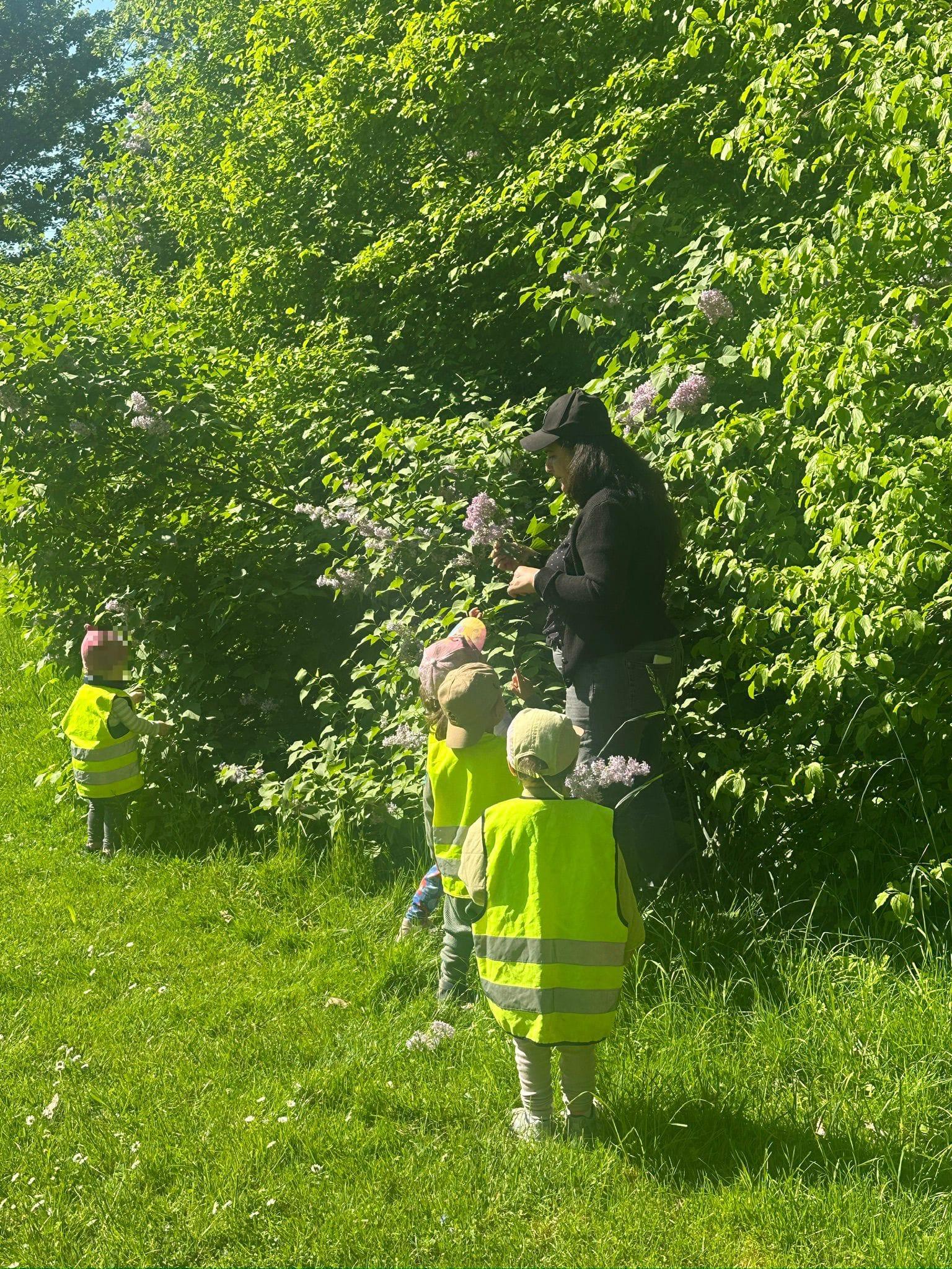 Blumen entdecken in der Natur – kleine Forscher ganz gross unterwegs