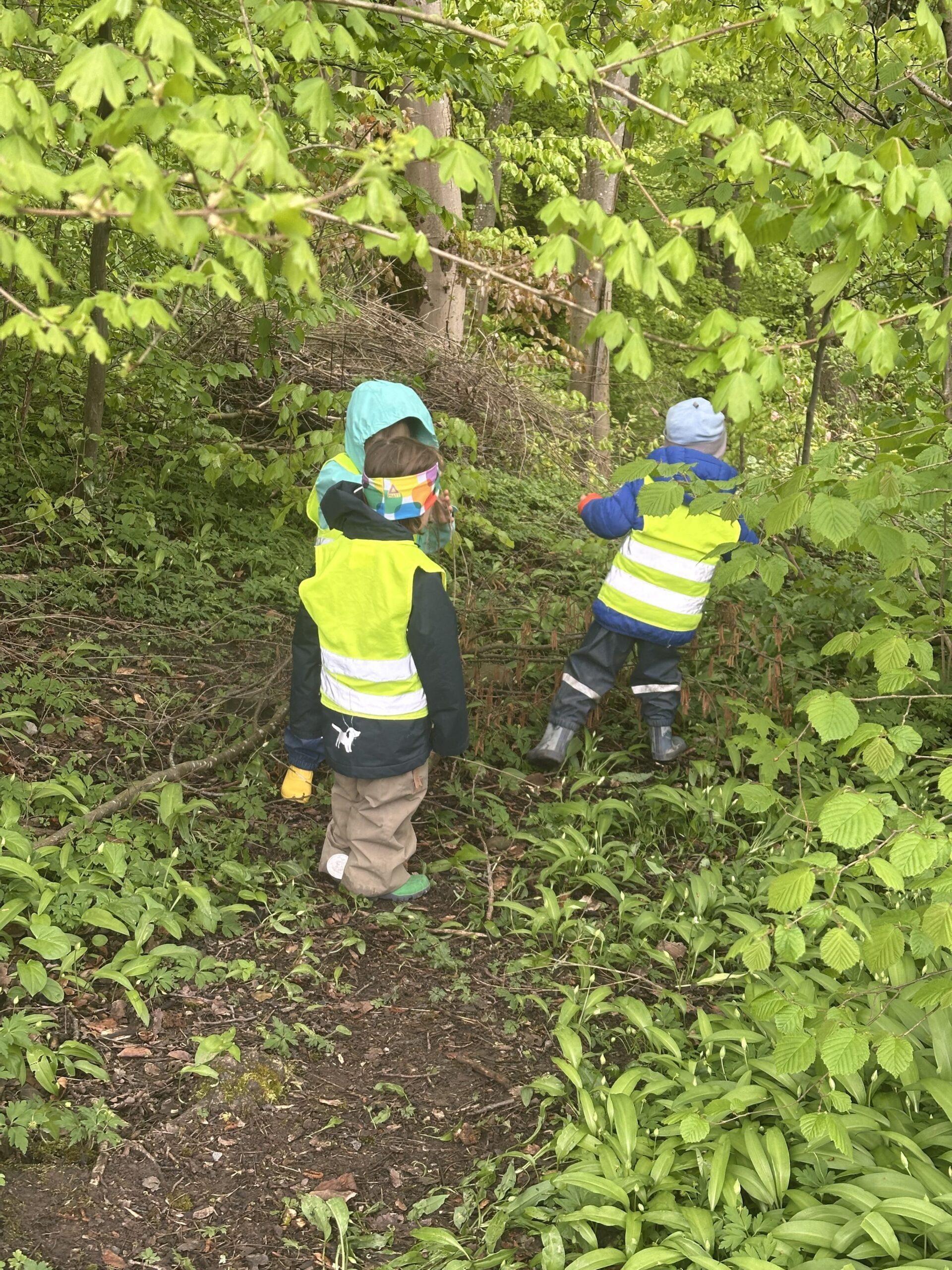 Wald entdecken – Forschen, Staunen und Lernen in der KiTa Blüemli
