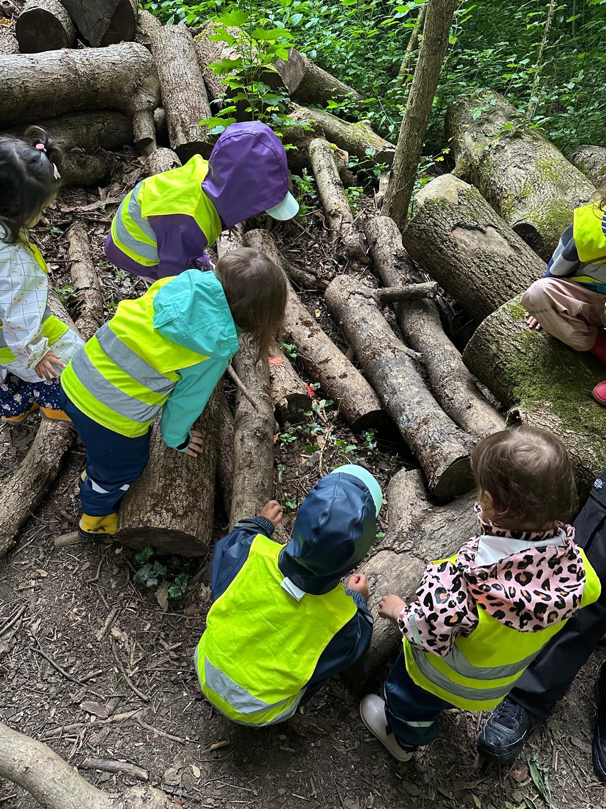 Naturentdeckung in der Krippe weckt Staunen