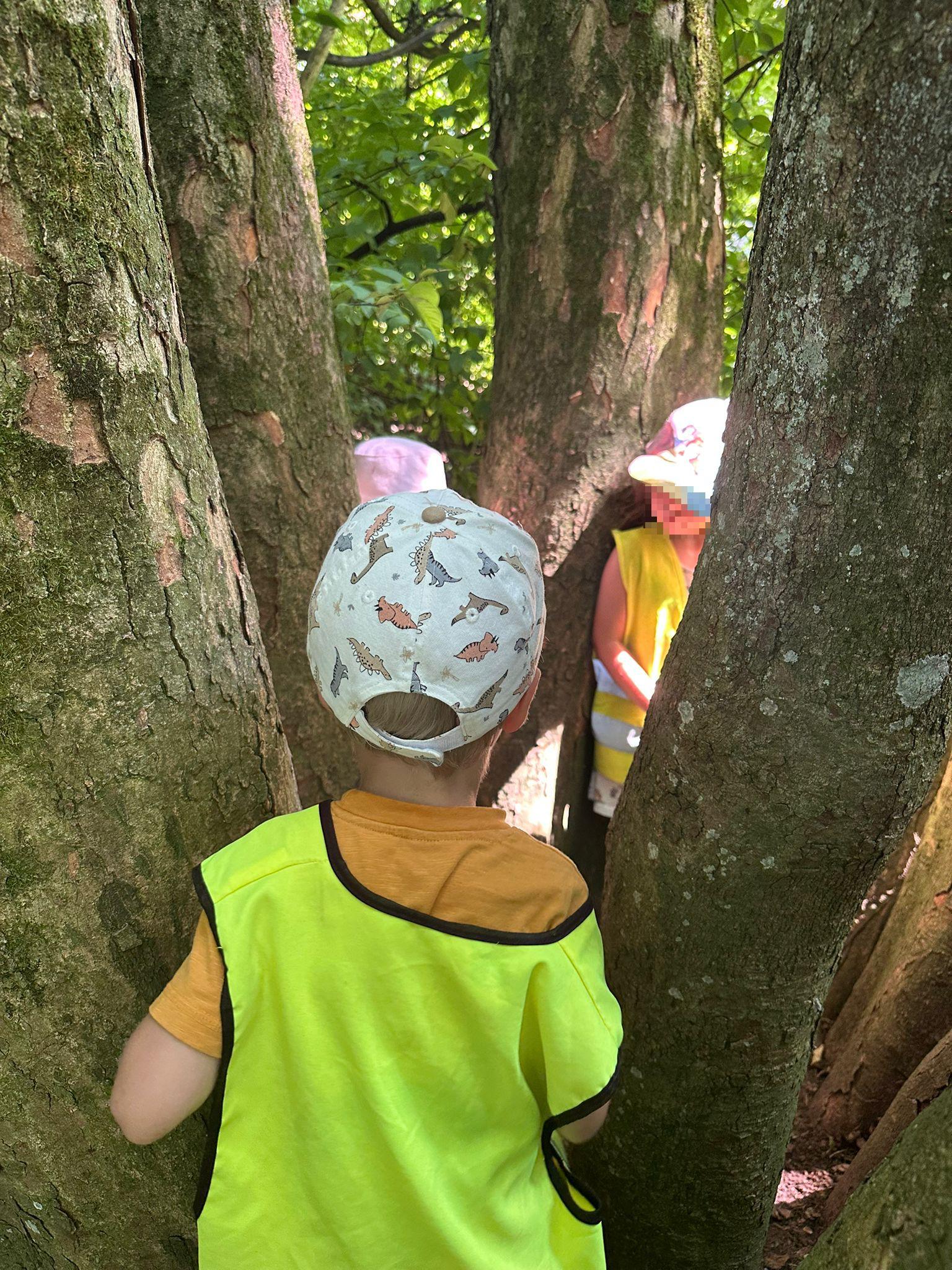 Verstecken, Staunen und Entdecken – freies Waldspiel in der Kinderkrippe