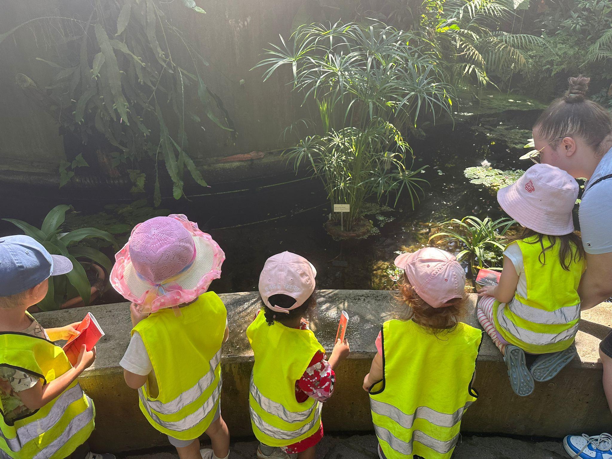 Botanischer Garten inspiriert Kinderherzen
