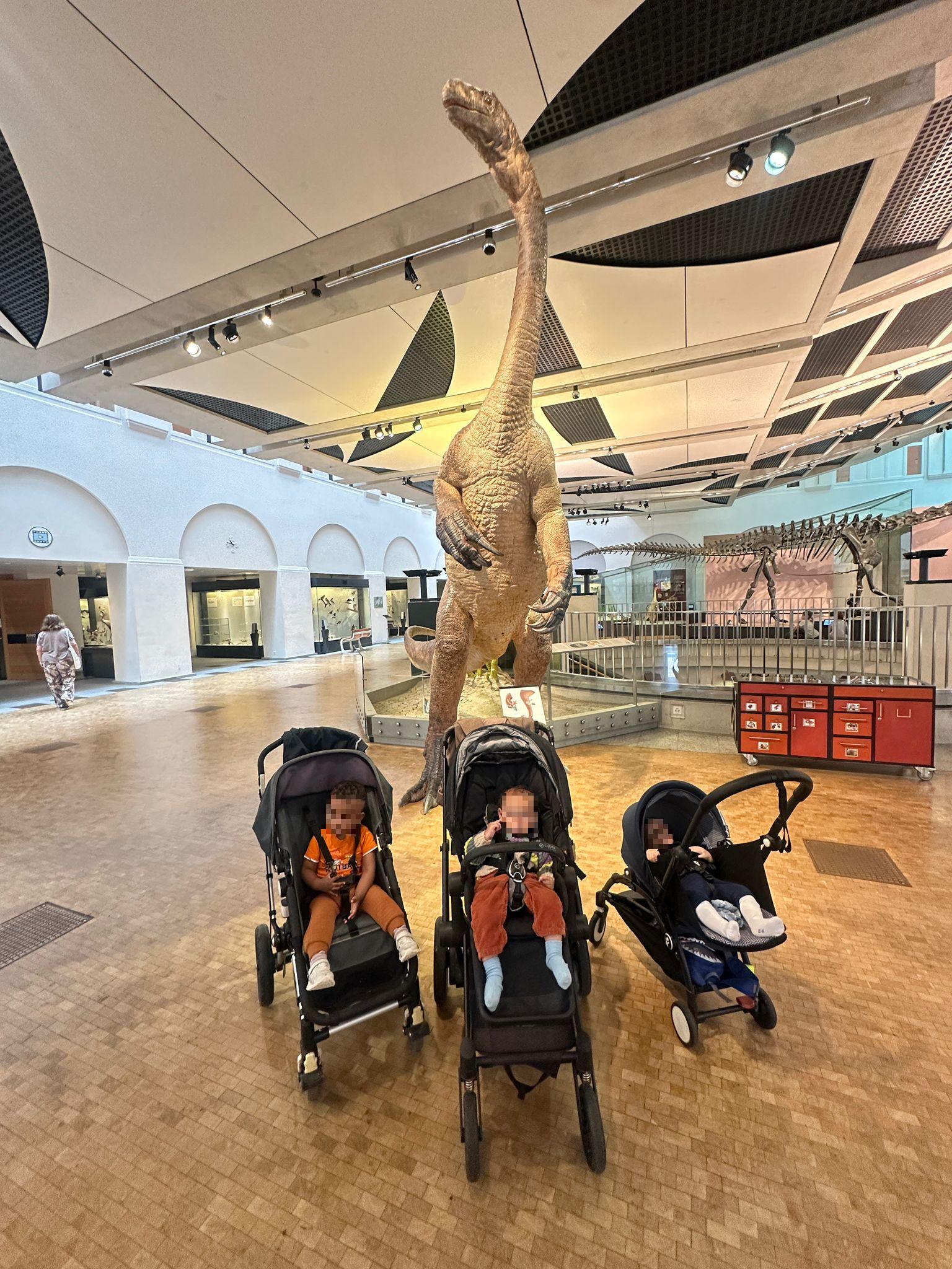Ausflug mit Kleinkindern ins Naturhistorische Museum