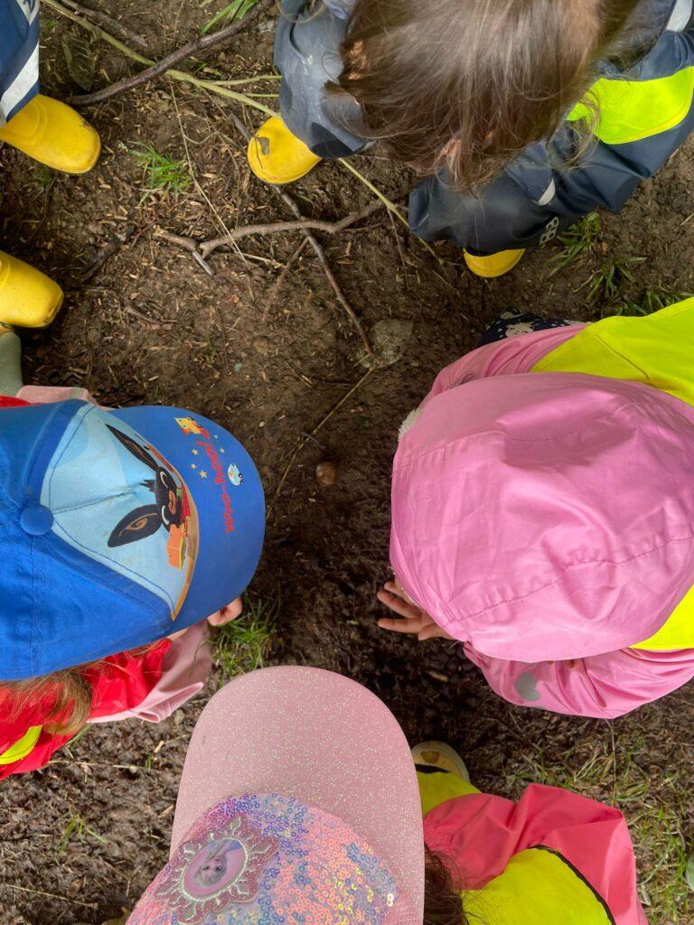 Naturentdeckung im Wald begeistert Kinderherzen
